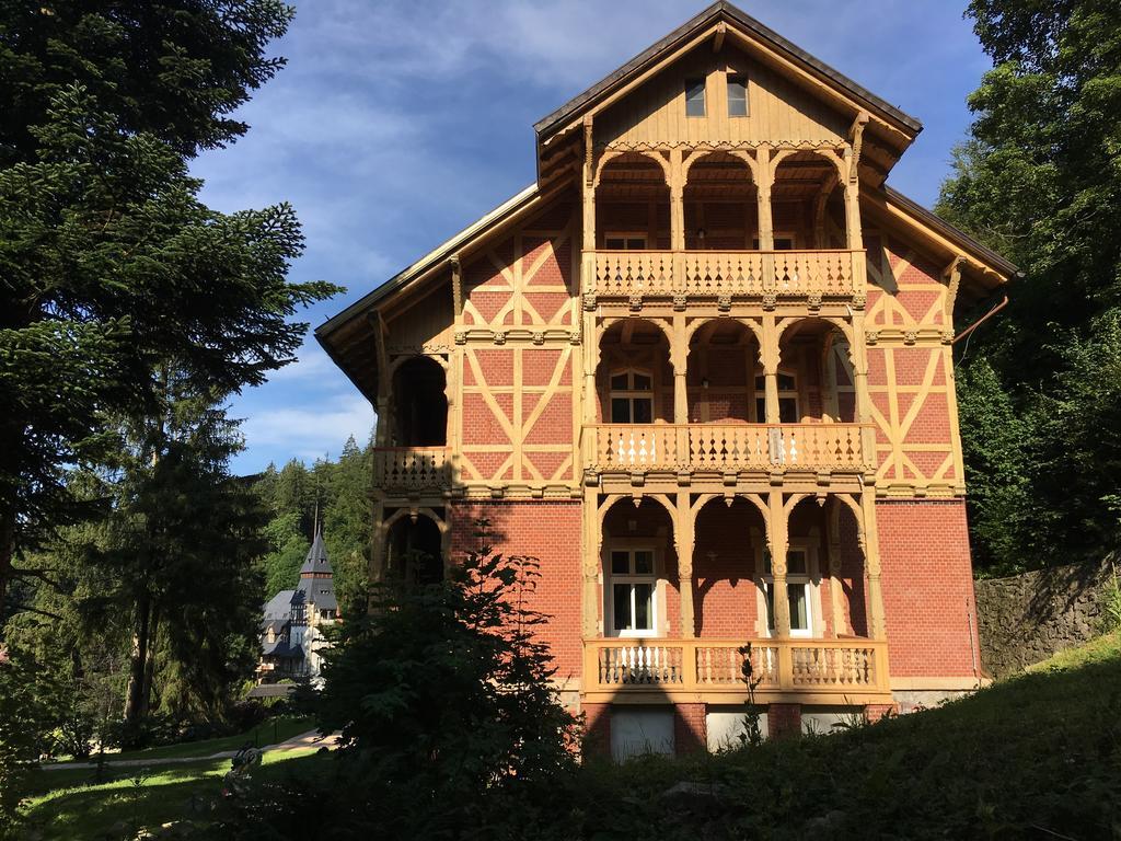 Vila Trebla Miedzygorze