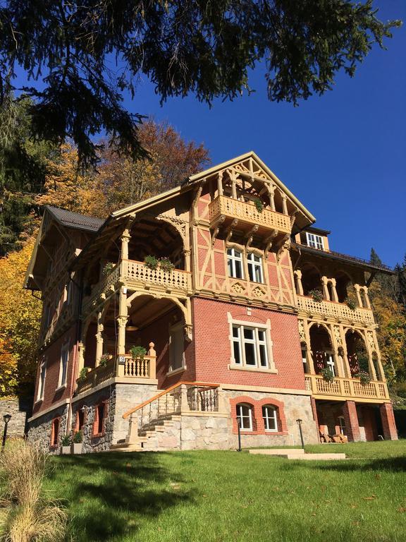 Trebla Vila Miedzygorze